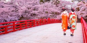 Two Japanese woman in colorful, traditional dress walking away from the photographer over a bridge with red railings. In the background, there are cherry blossoms.